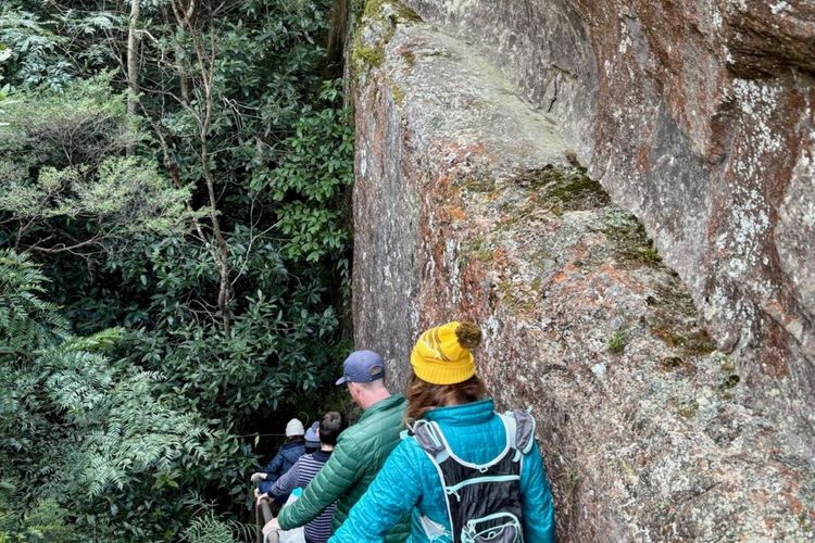The Lodge Blackheath