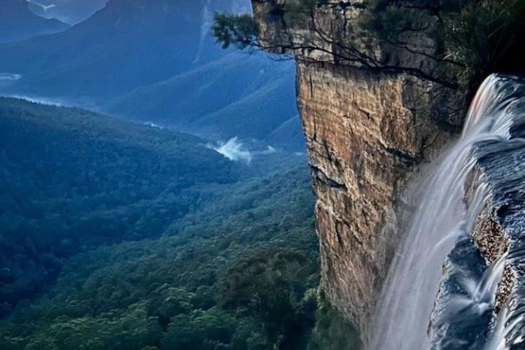 The Lodge Blackheath