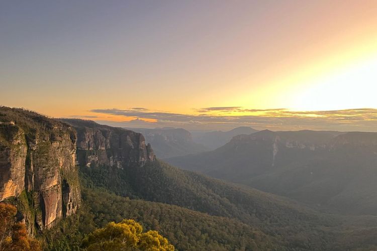 The Lodge Blackheath