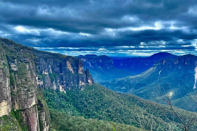The Lodge Blackheath