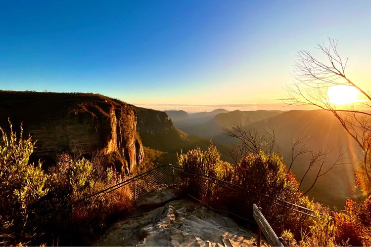 The Lodge Blackheath