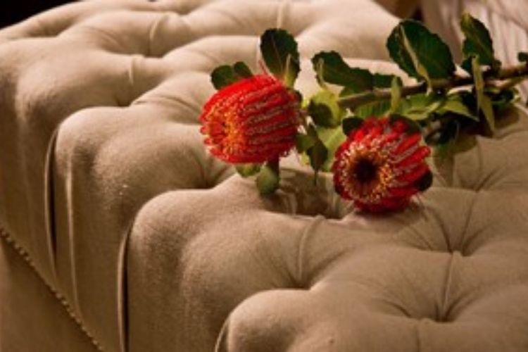 Stableford House Wentworth Falls