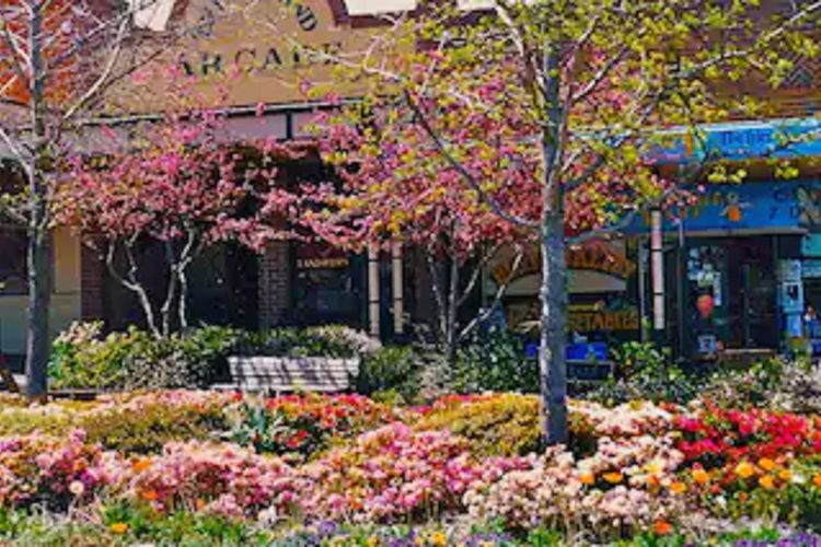 Coolangatta (House and Studio)