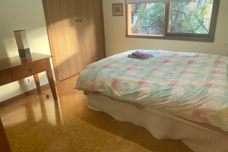 Lyall Street Beach Cabin