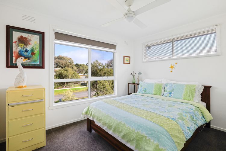 Dog Friendly Beach Haven