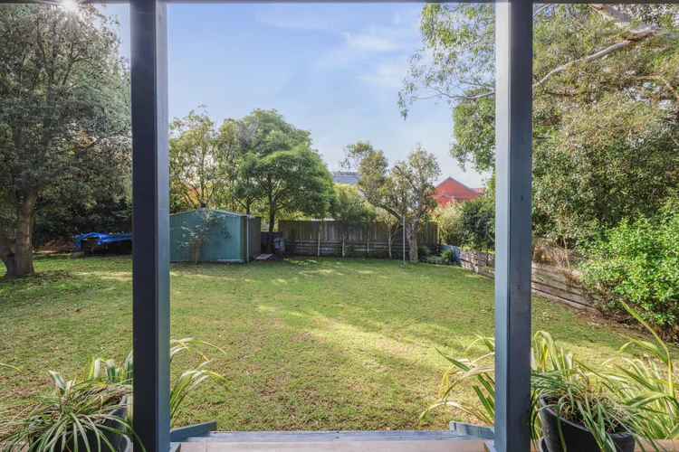 Dog Friendly Beach Haven