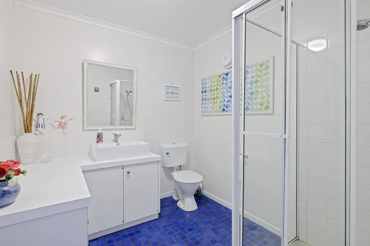 Dog Friendly Beach Haven