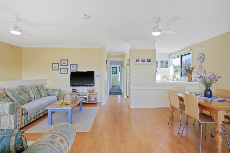 Dog Friendly Beach Haven