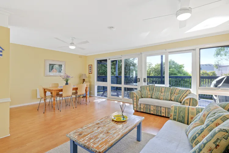 Dog Friendly Beach Haven