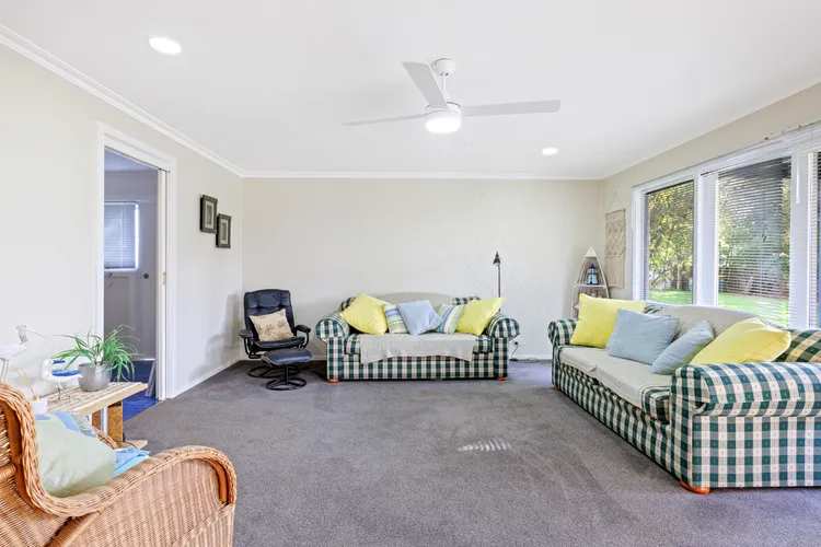 Dog Friendly Beach Haven