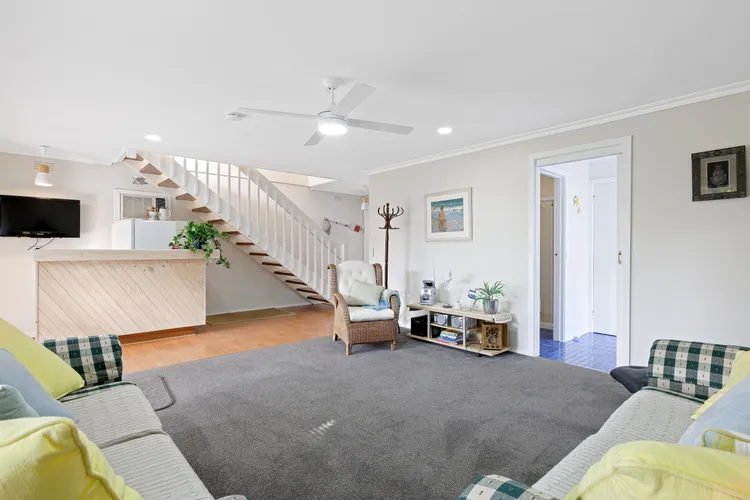 Dog Friendly Beach Haven