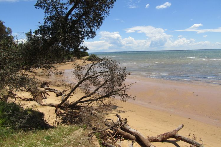 Honeysuckle Beach Cottage – Silverleaves