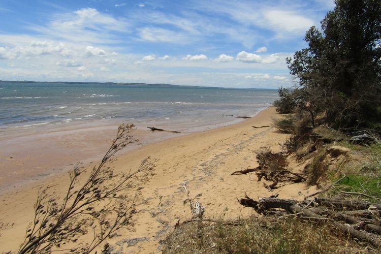 Honeysuckle Beach Cottage – Silverleaves