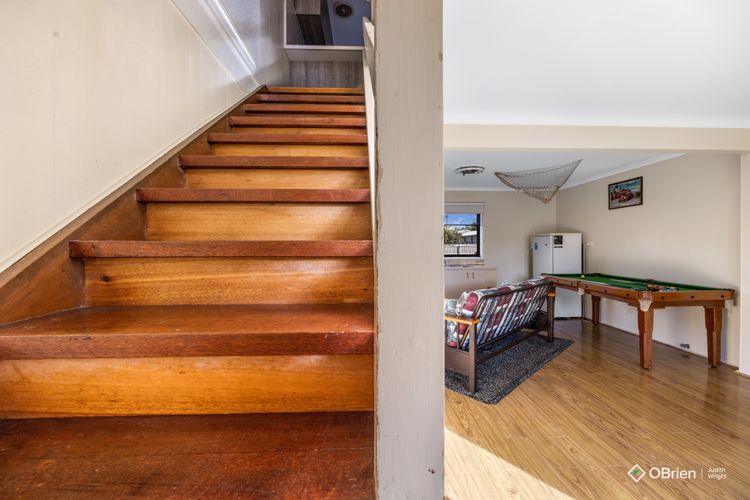 Seashell Rina Cape Woolamai Phillip Island