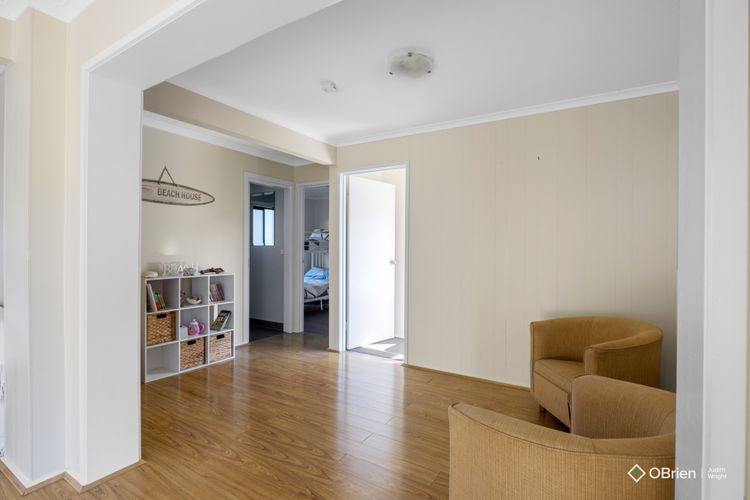 Seashell Rina Cape Woolamai Phillip Island