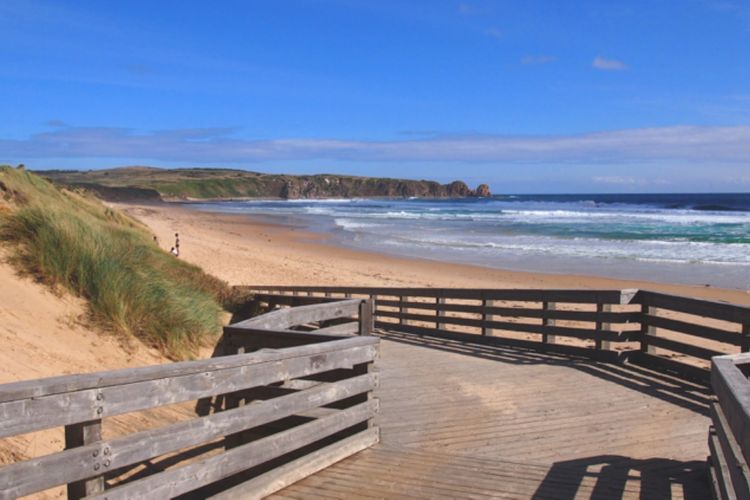 Seashell Rina Cape Woolamai Phillip Island