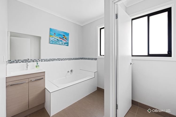 Seashell Rina Cape Woolamai Phillip Island