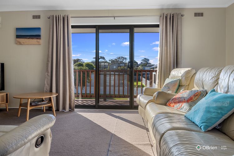 Seashell Rina Cape Woolamai Phillip Island