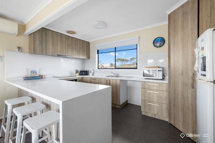 Seashell Rina Cape Woolamai Phillip Island