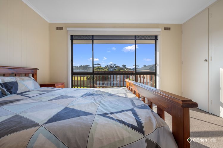 Seashell Rina Cape Woolamai Phillip Island