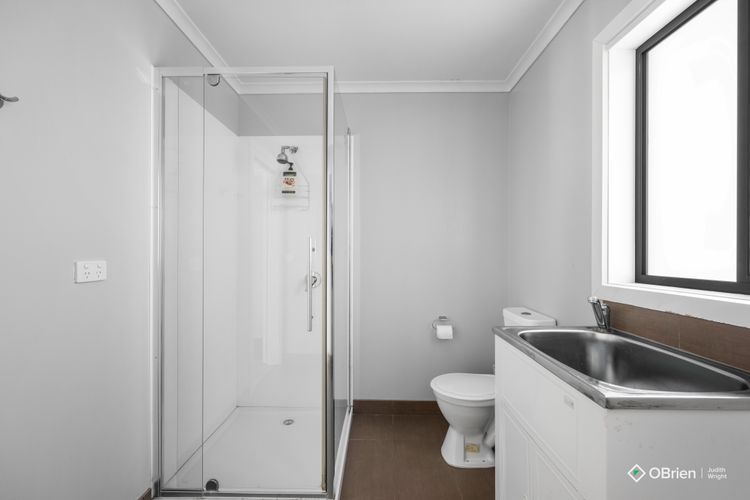 Seashell Rina Cape Woolamai Phillip Island