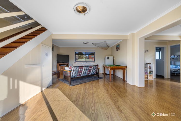 Seashell Rina Cape Woolamai Phillip Island