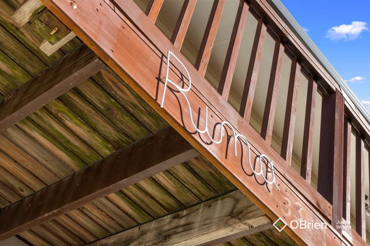 Seashell Rina Cape Woolamai Phillip Island