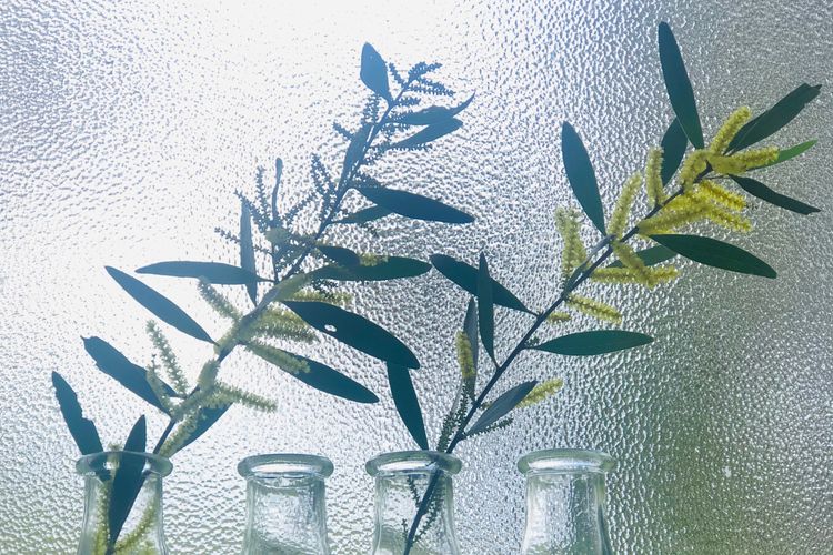 Beachfront Holiday Home in Silverleaves