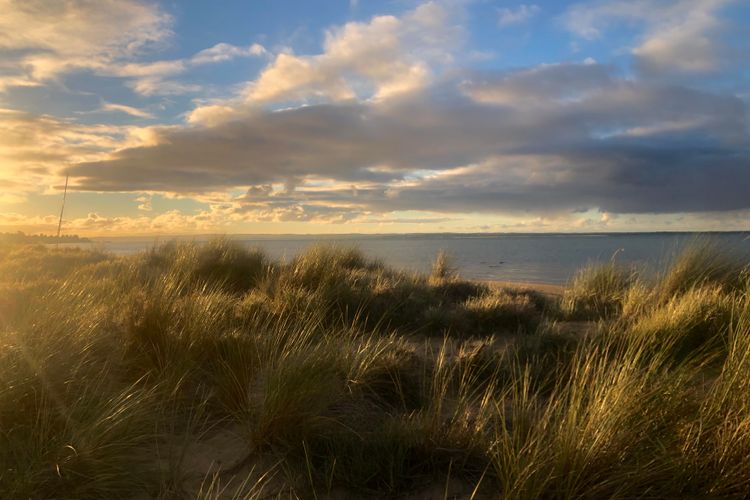 Beachfront Holiday Home in Silverleaves