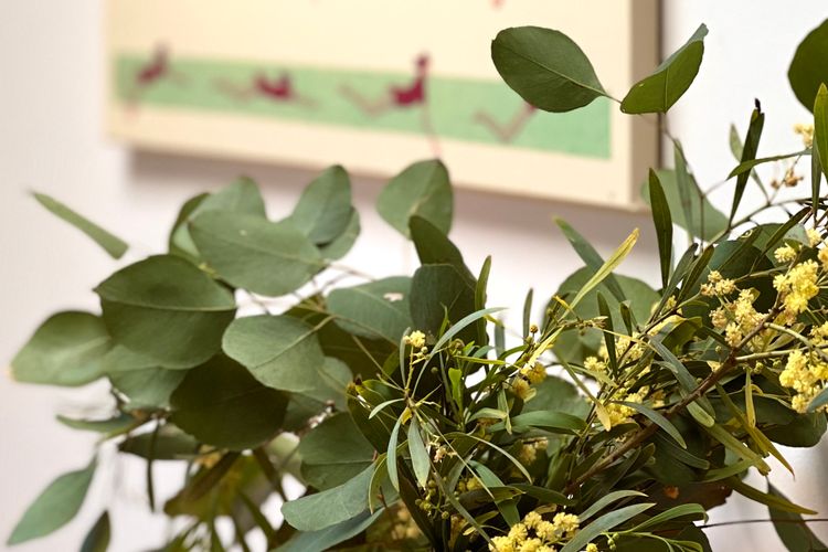 Beachfront Holiday Home in Silverleaves