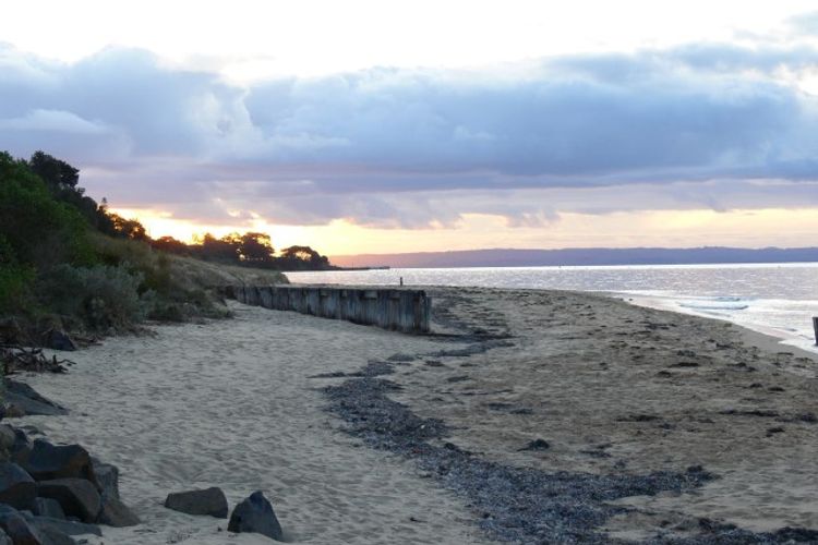 The Woodland Cottage at Silverleaves Beach