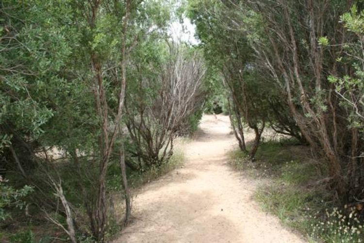 Silverleaves Beachfront Bliss