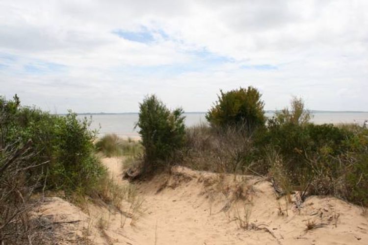 Silverleaves Beachfront Bliss