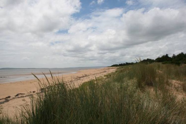 Silverleaves Beachfront Bliss