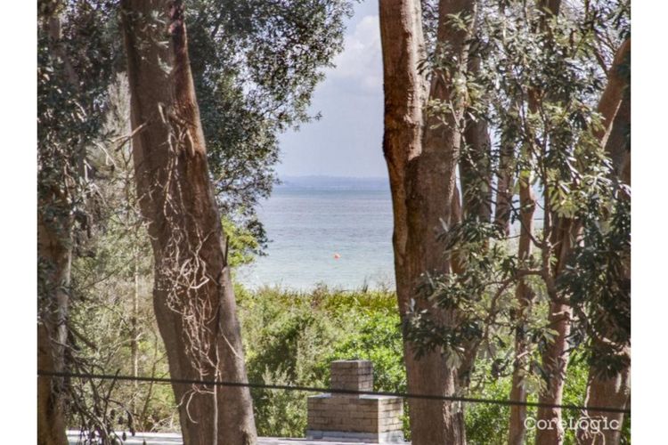 The Hamptons – Silverleaves