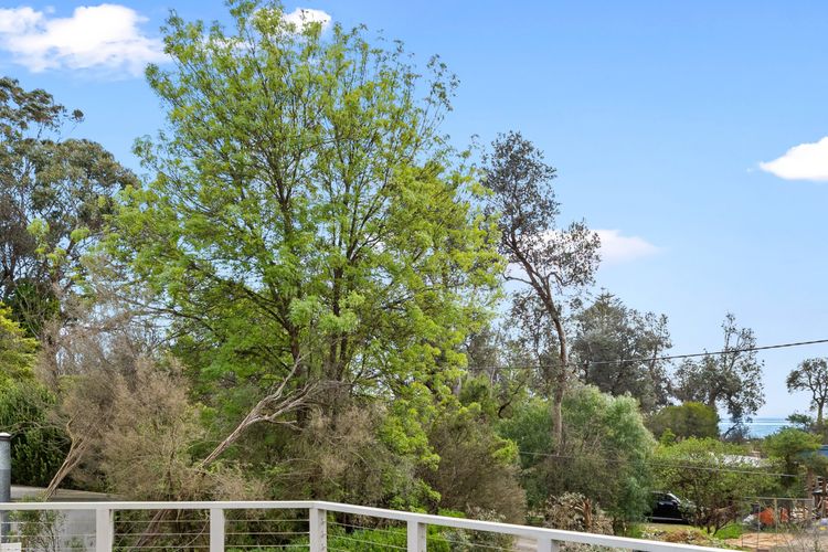 The Hamptons – Silverleaves