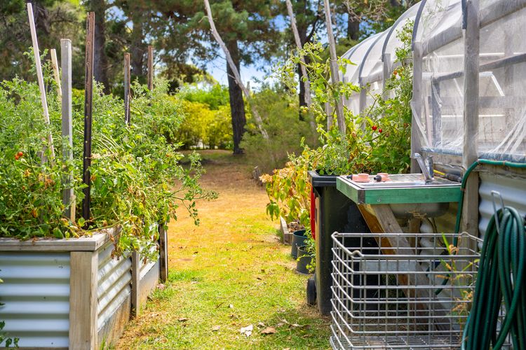 Pet Friendly Island Garden Retreat in Cowes