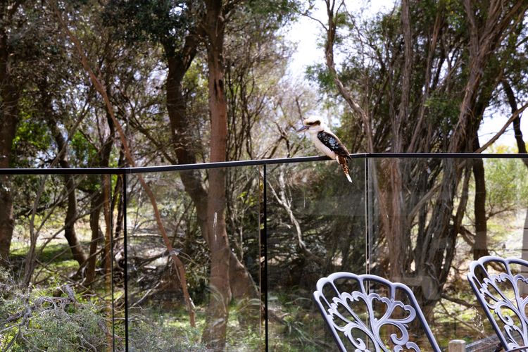 Silverleaves Retreat