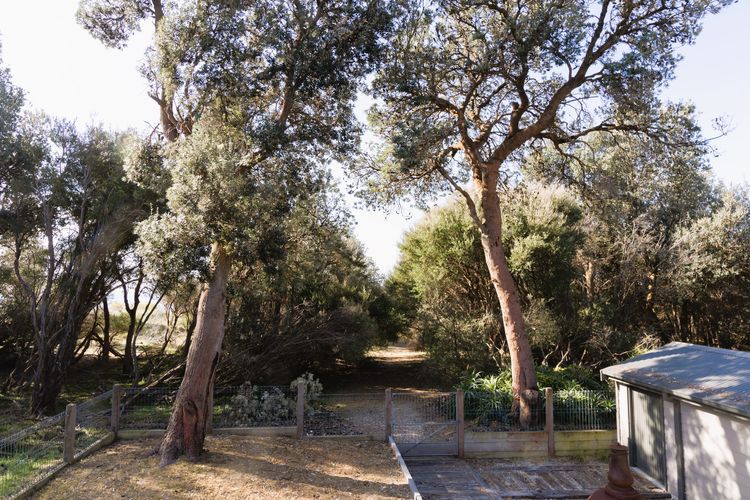 Silverleaves Retreat