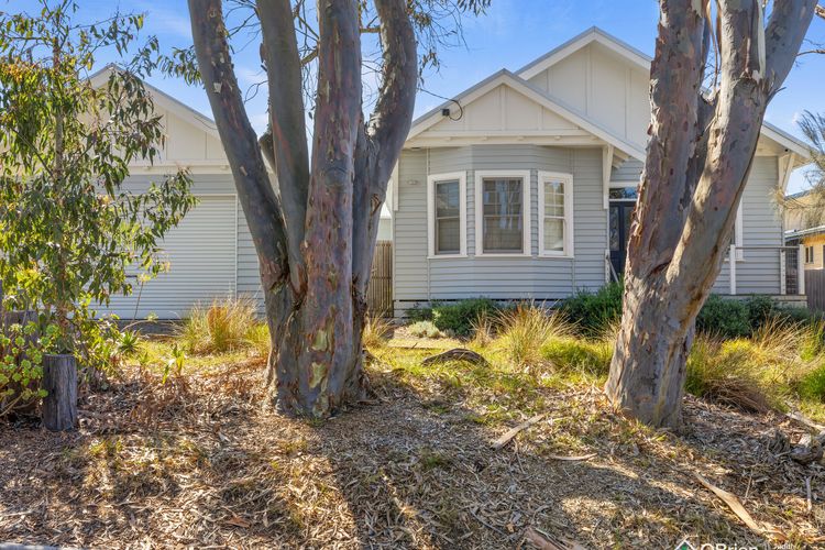 Ventnor Coastal Charm