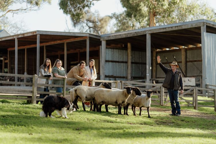 The Turnstone Retreat