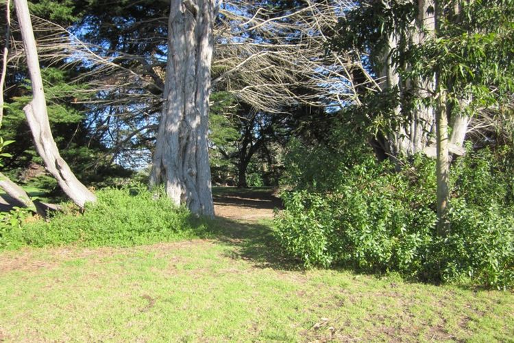 Timber & Tide Cottage