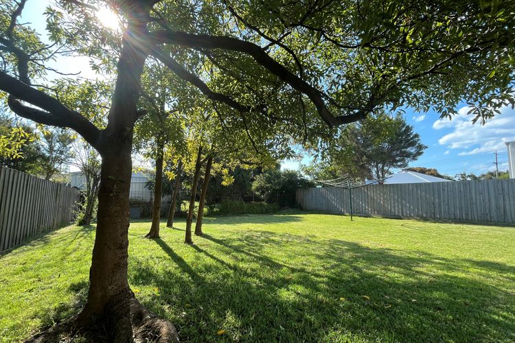 Roydon Island Retreat