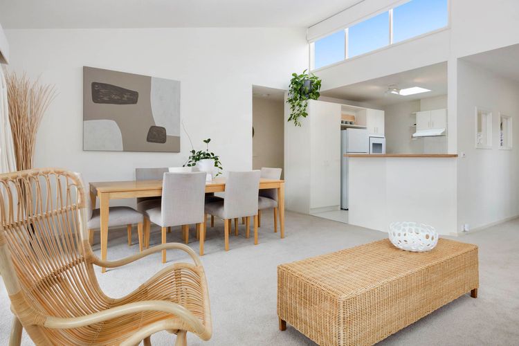 Coastal Sage – Blairgowrie