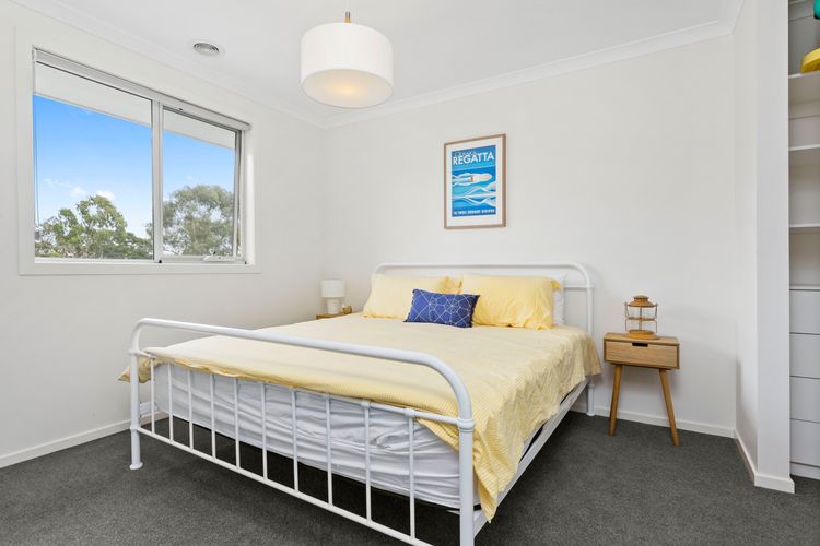 CORYMBIA – MOUNT MARTHA