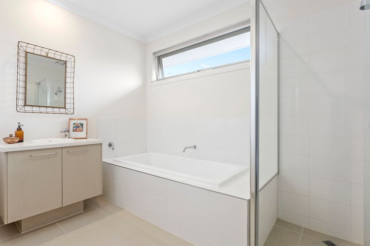 CORYMBIA – MOUNT MARTHA
