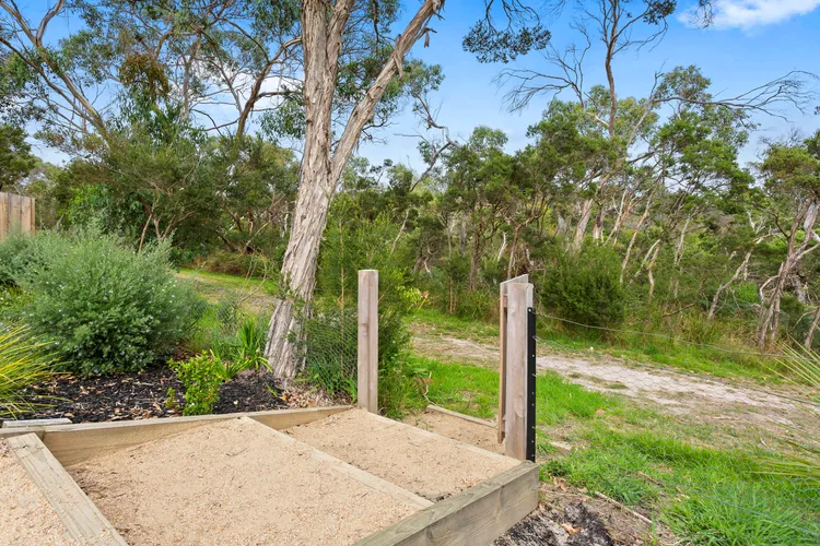 CORYMBIA – MOUNT MARTHA