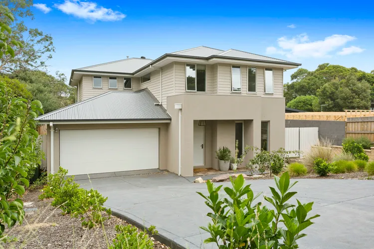CORYMBIA – MOUNT MARTHA