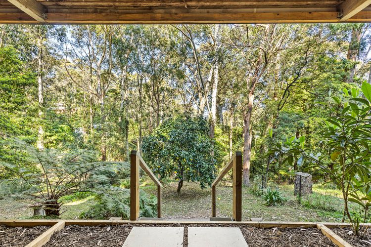 The Treehouse at Long Beach