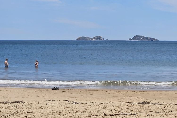 The Loft at Long Beach